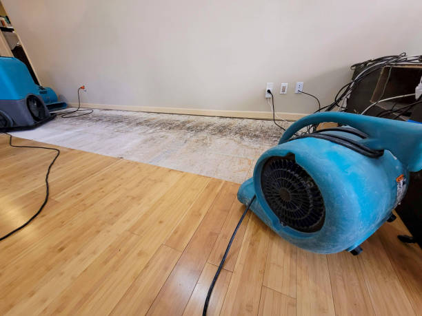 Professional Structural Drying technician working in Wallula, WA